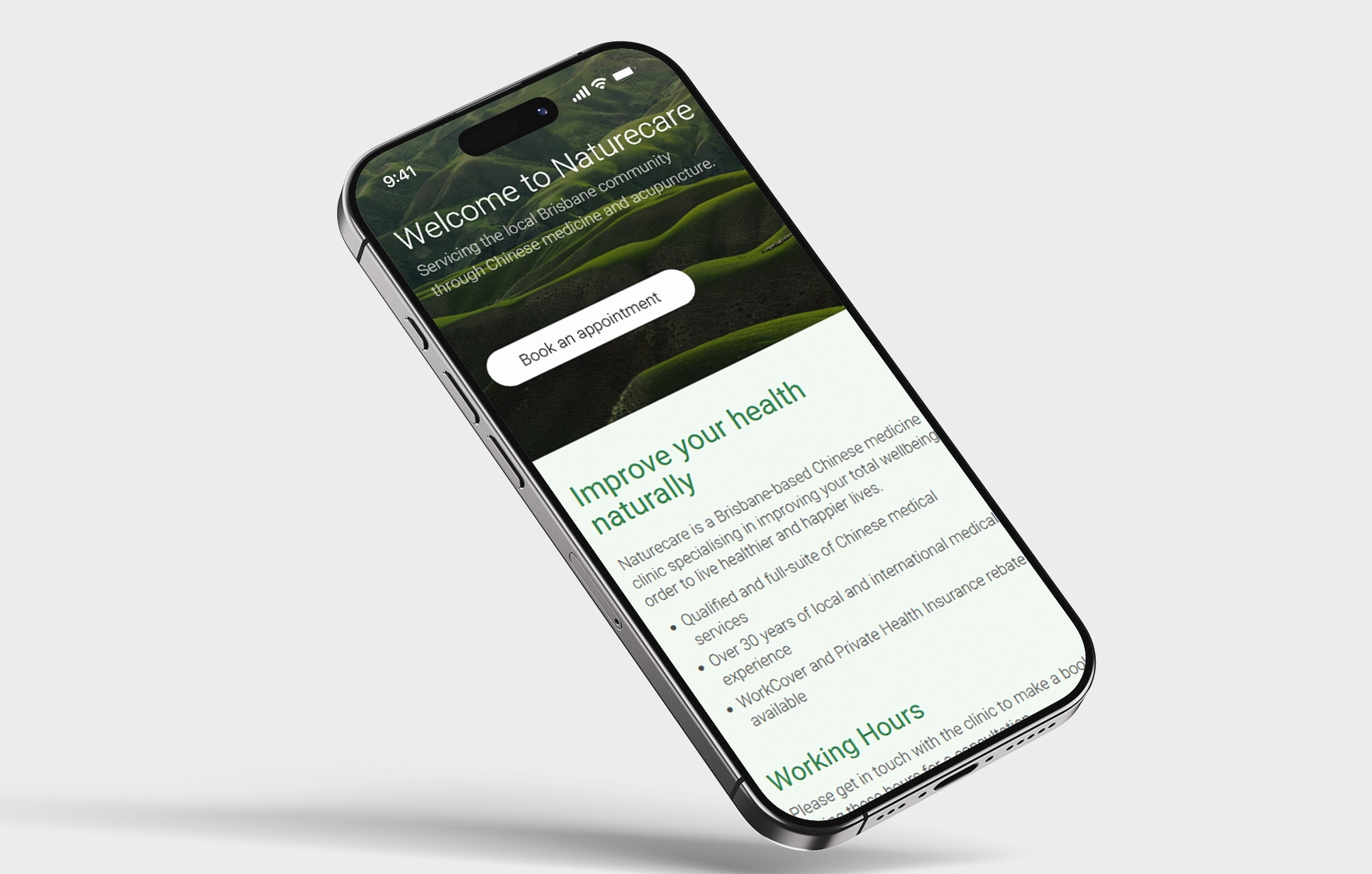 Acupuncture Nature Care Case Study: The Digital Sanctuary | Big Bao