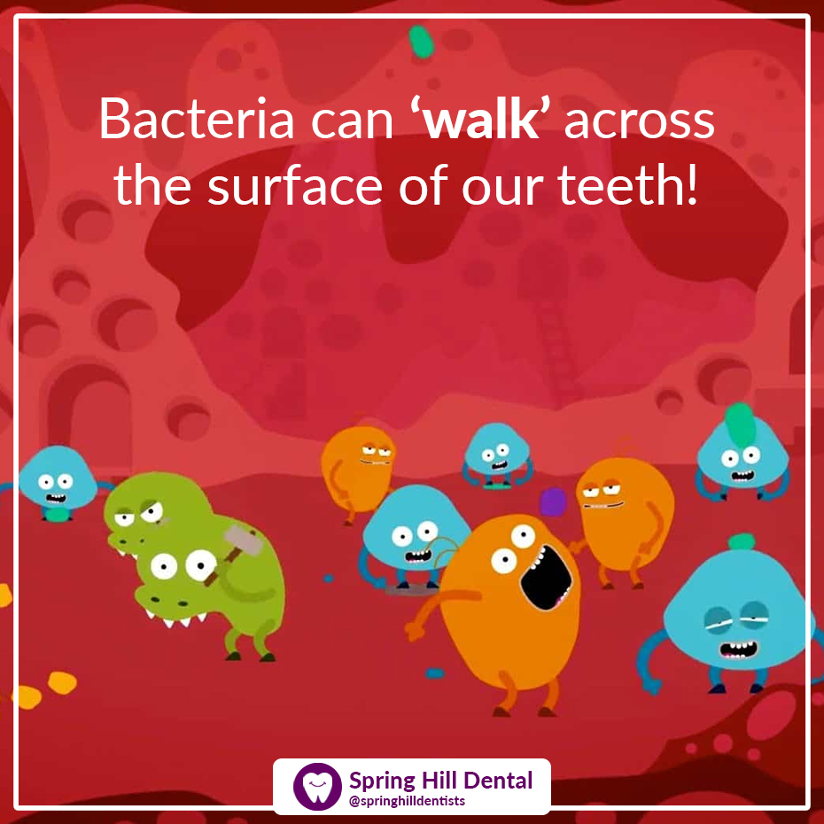 Social Media Post Big Bao Marketing Spring Hill Dental