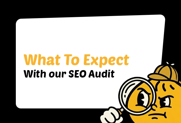 The Automated PDF Website Audit is a Scam